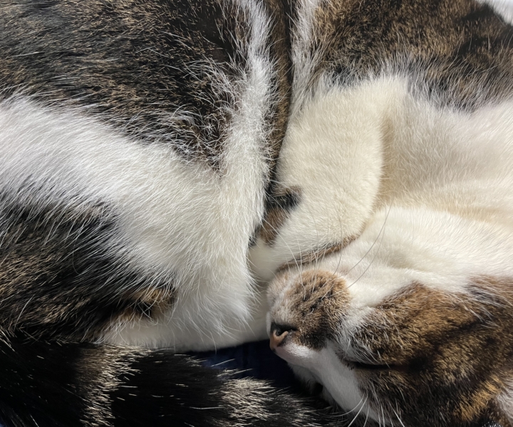 いろいろとはじまります。