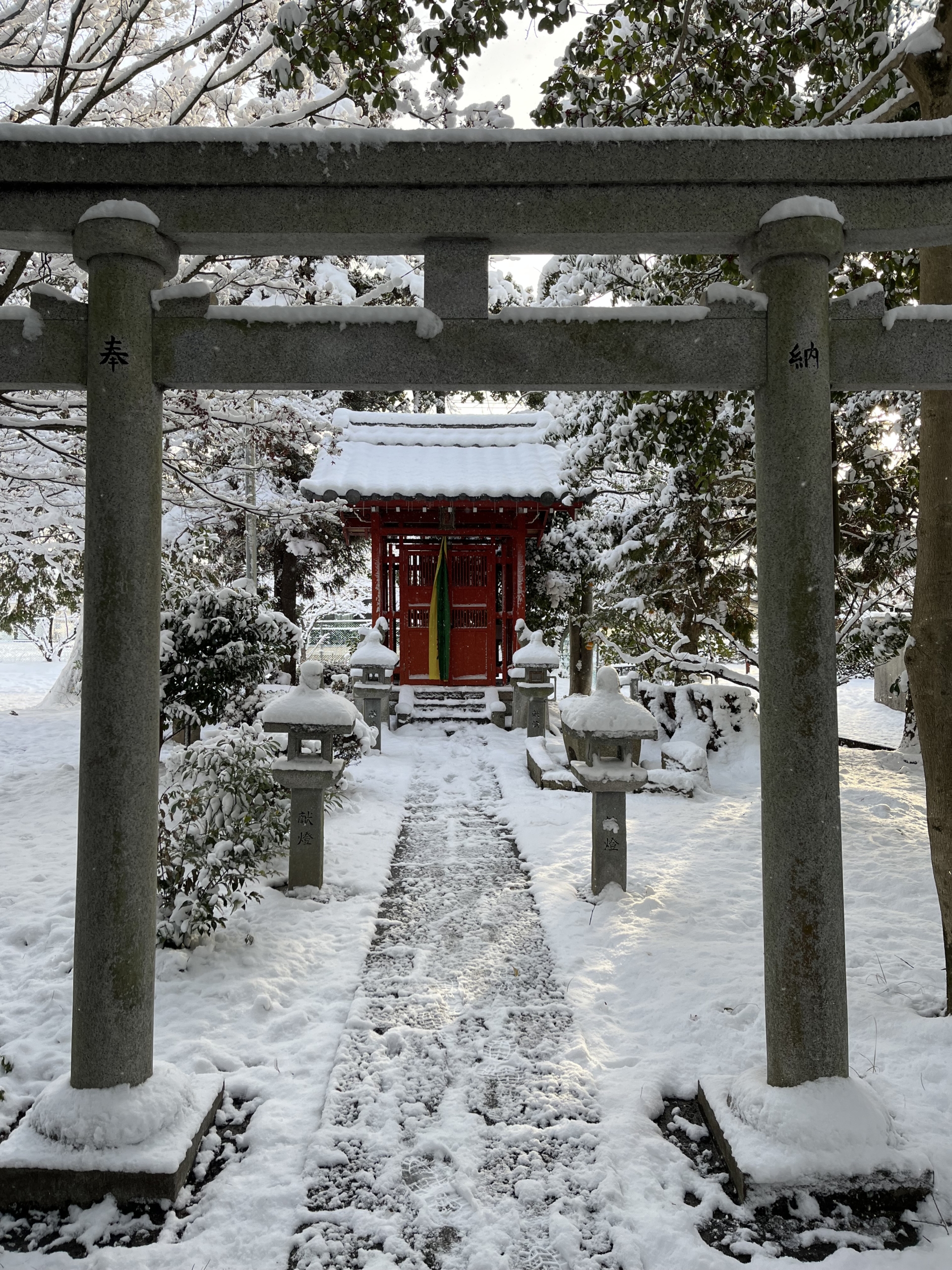 大雪でも、無事に過ごせました。